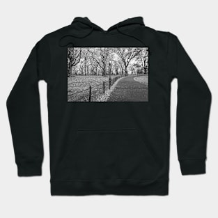 Walking Path Central Park BW Hoodie